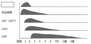心筋梗塞発症後の検査値