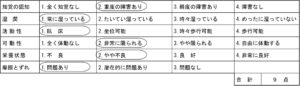 表　ブレーデンスケール